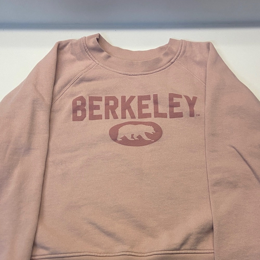 H&M Dusty Pink Berkeley Sweatshirt